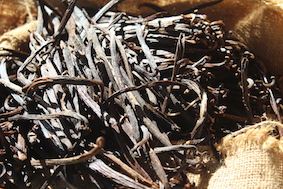 After fermentation process